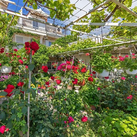 Apartmani Galic 2 Mlini Exteriér fotografie