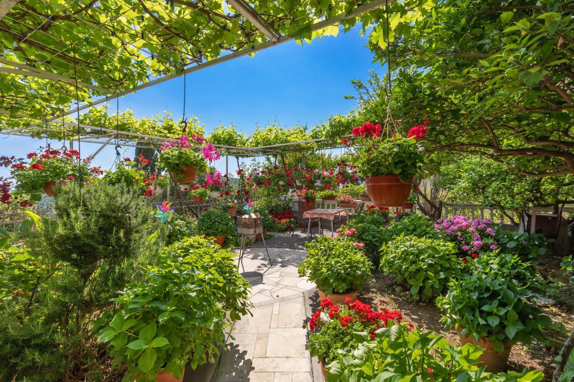 Apartmani Galic 2 Mlini Exteriér fotografie