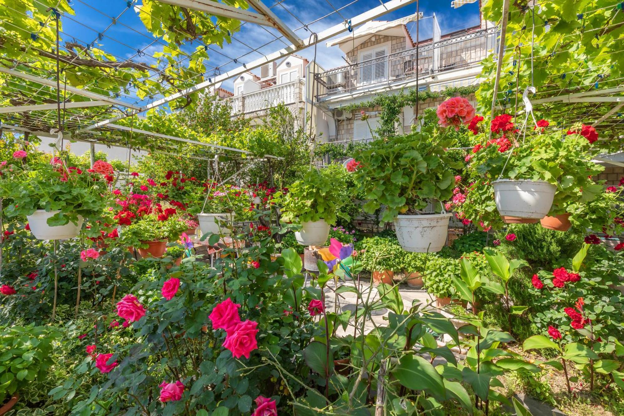 Apartmani Galic 2 Mlini Exteriér fotografie
