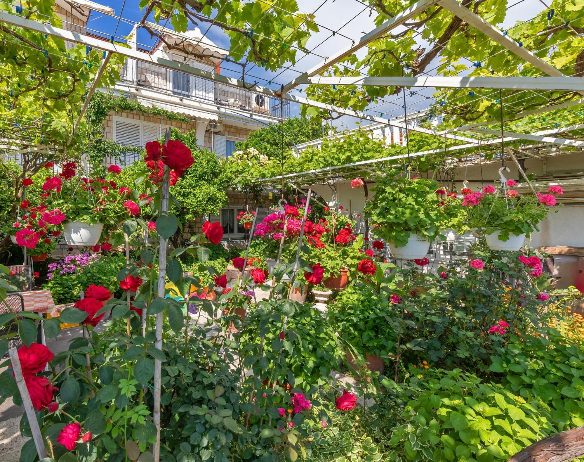 Apartmani Galic 2 Mlini Exteriér fotografie